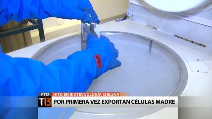 [T13] Hito en biotecnología: Chile se suma a la exportación de células madre