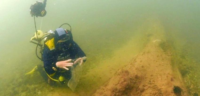 Descubren bosque de 10 mil años hundido bajo el mar