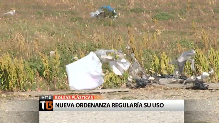 El silencioso avance de la contaminación por bolsas plásticas en Punta Arenas
