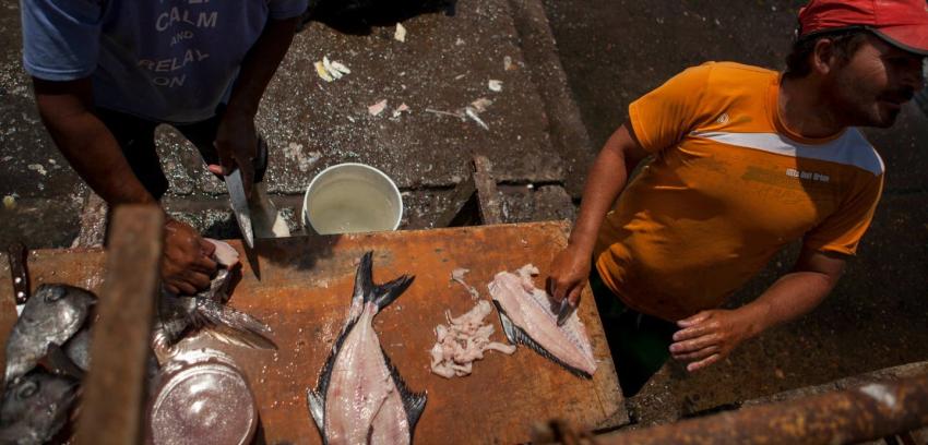 Pescadores artesanales deberán contar con seguro de vida obligatorio