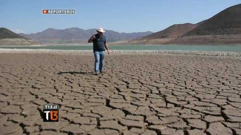 Reporteros: Los efectos de la sequía en el valle del Limarí