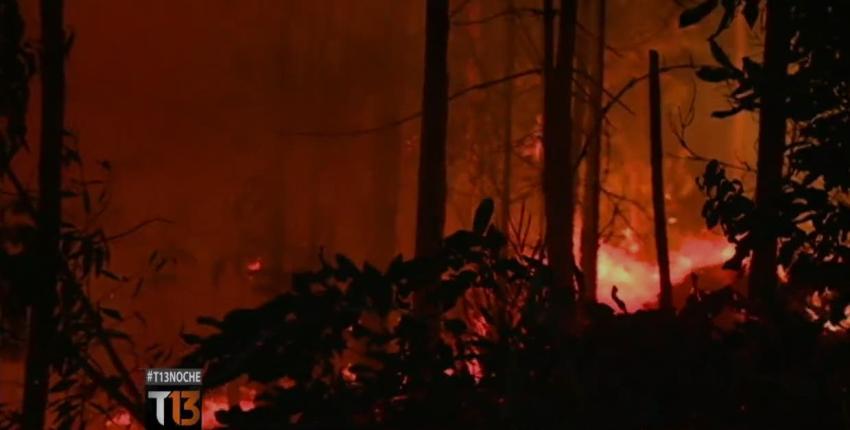 Alerta roja en provincia de Arauco por incendio que ha consumido más de 1.400 héctareas