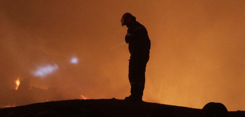 Incendio en Valparaíso: Fuego se habría originado por aves electrocutadas