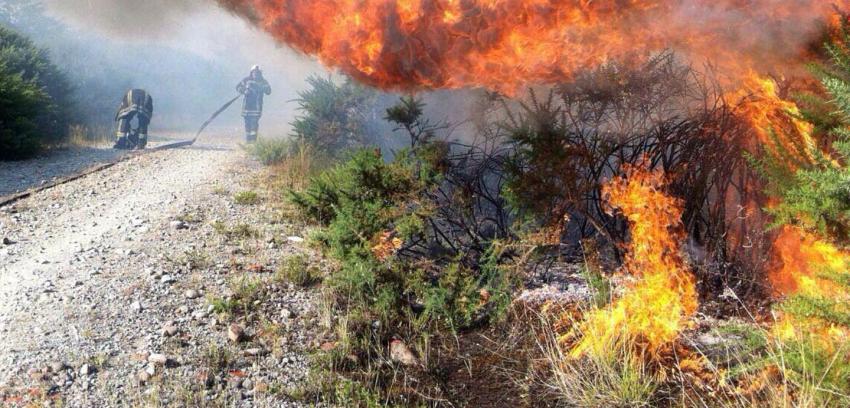 Onemi reporta 73 incendios forestales activos en zona centro-sur