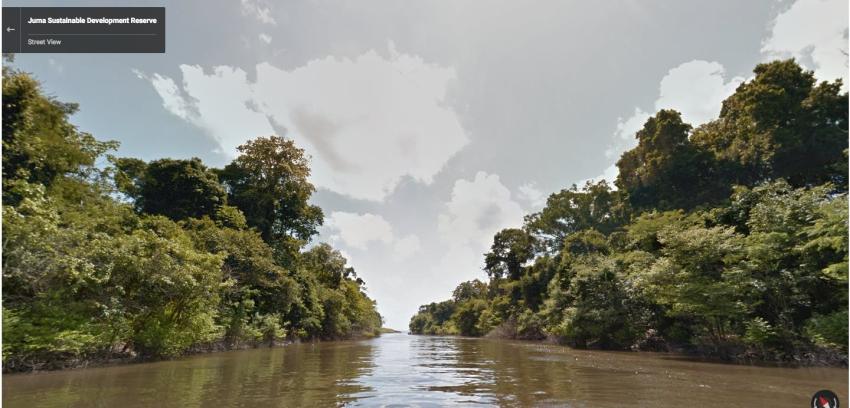 [VIDEO] Así se ve el Amazonas en Google Street View