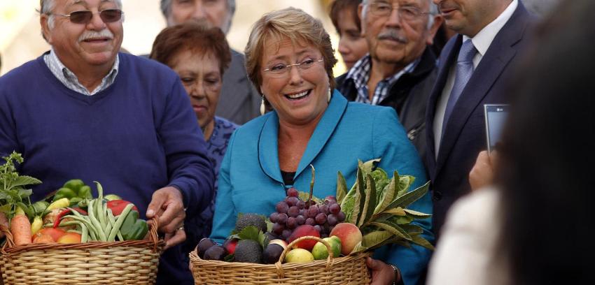 Así fue el primer año de Bachelet en la opinión pública