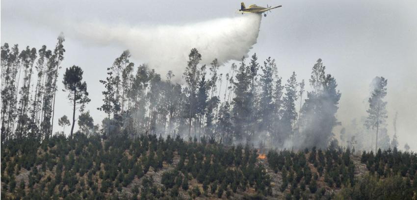 Al menos siete viviendas consumidas por incendio forestal en Santa Juana