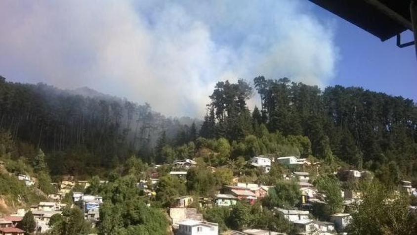 Incendio forestal amenaza a viviendas en cerro Caracol de Concepción