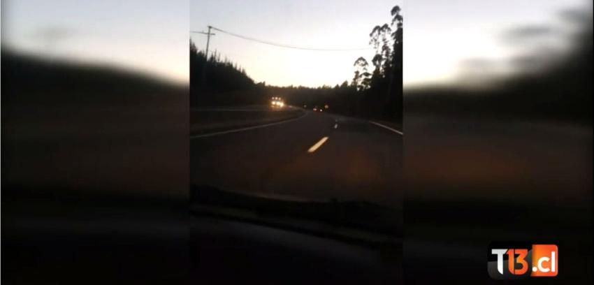 [VIDEO] Furgón escolar transitaba a exceso de velocidad con niños en su interior