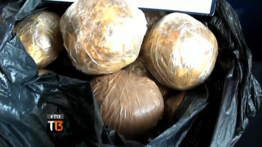 Decomisan droga en cargamentos de cebollas