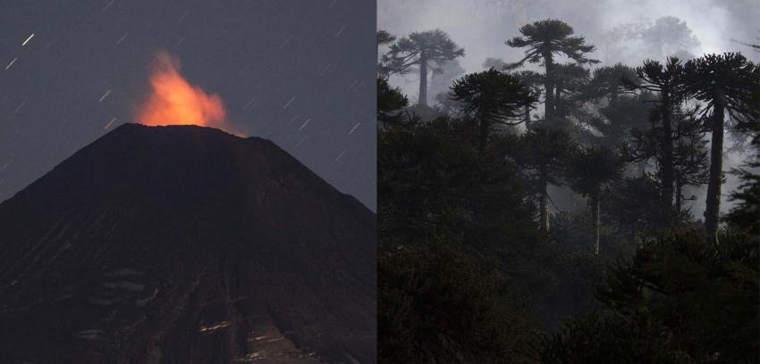 Araucanía: Volcán Villarica e incendio en China Muerta mantienen la atención en la zona