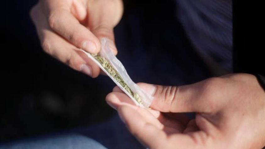 Comisión de Salud dice que aprobará despenalización de autocultivo de cannabis y uso medicinal