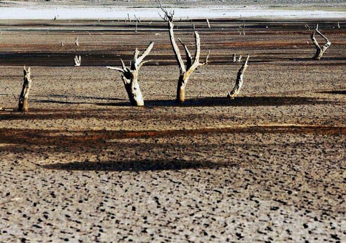 Sequía en el norte amenaza con despoblar 20 comunas en el país