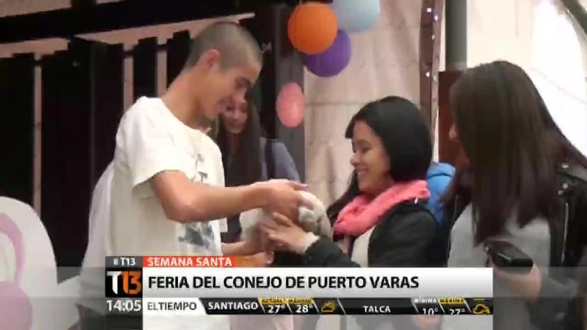 Puerto Varas celebra la "Feria del Conejo de " en Pascua de Resurrección