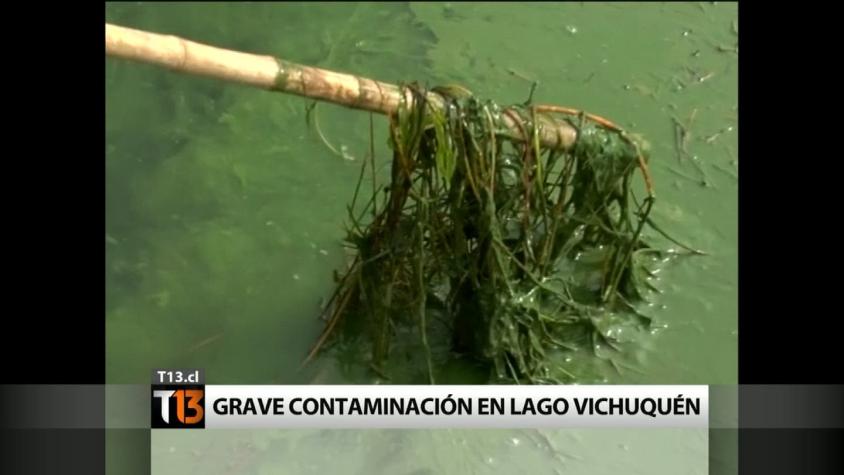 Extraña sustancia verde amenaza al lago Vichuquén
