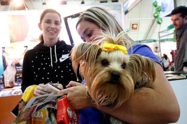 Comenzó la Expo Mascotas y Animales 2015 en Espacio Riesco