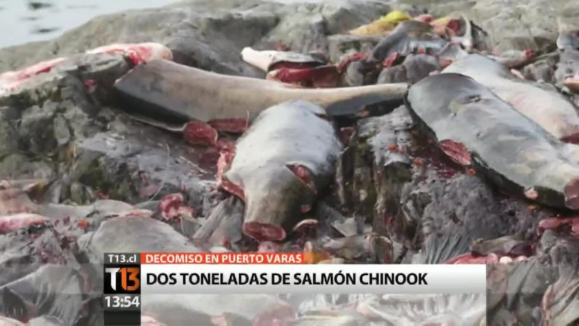 Carabineros decomisa dos toneladas del salmón chinook capturado ilegalmente en Puerto Varas