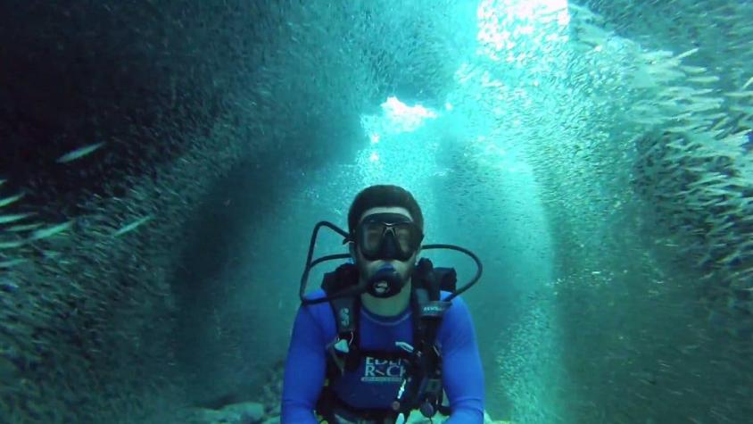 [VIDEO] Un viaje por el mar: El registro del sorprendente nado entre millones de peces