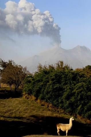 Los Ángeles: decretan preemergencia ambiental debido a cenizas del volcán Calbuco
