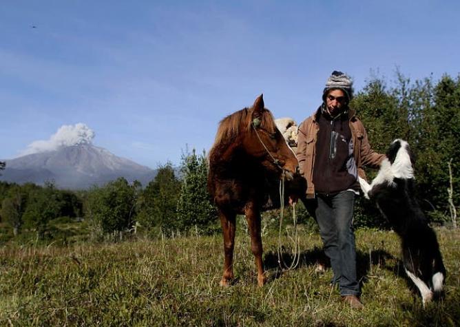 Joven vive a 9 km del volcán Calbuco y no evacua por miedo a dejar a su caballo