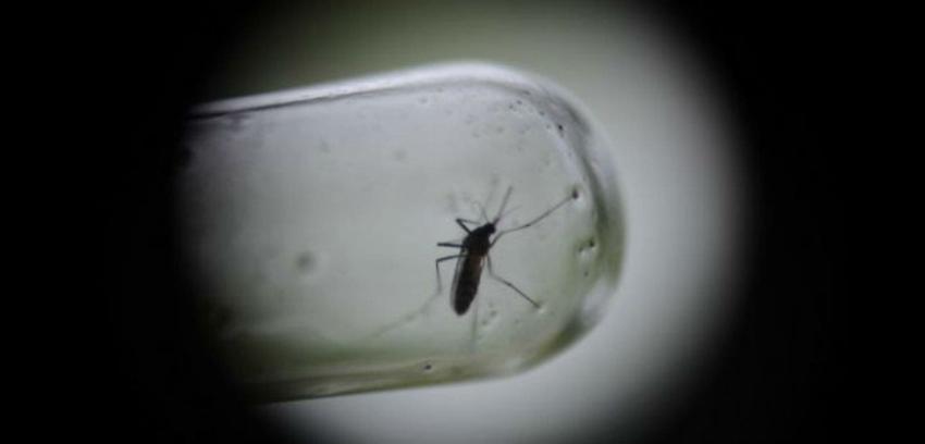 Lo que se sabe de la primera vacuna que se fabrica contra el dengue
