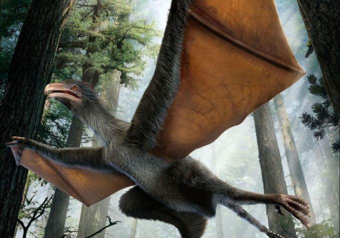 Paleontólogos chinos descubren dinosaurio que volaba con alas de murciélago