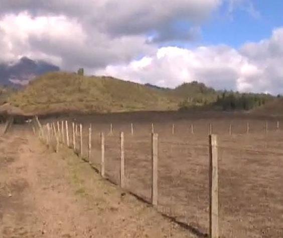 Agricultores reportan graves daños en campos aledaños al volcán Calbuco