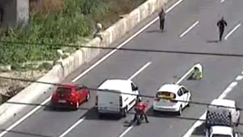 [VIDEO] Familia de patos corta tránsito en carretera de Barcelona
