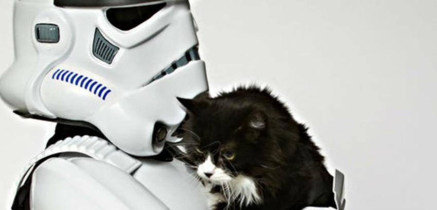 [FOTOS] Ambientalistas se disfrazan de personajes de Star Wars para promover adopción de mascotas