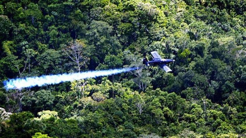 Colombia dejará de usar polémico pesticida contra cultivos de coca