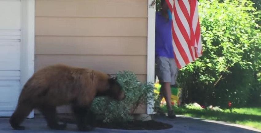 [VIDEO] Las reacciones de un hombre y un oso al encontrarse sorpresivamente