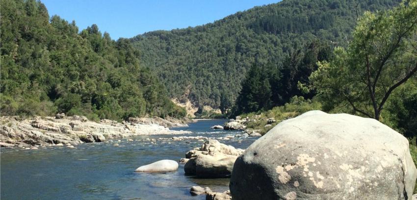 Aprueban nuevo Santuario de la Naturaleza para Chile en El Maule