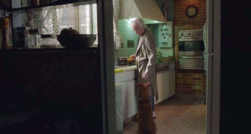 [VIDEO] "El hombre y el perro": La emotiva campaña a favor del trasplante hepático
