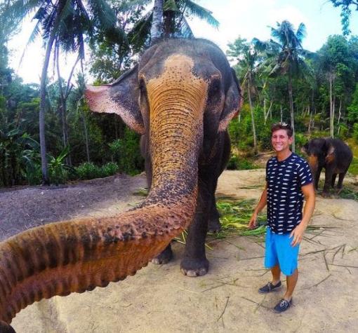 Elefante roba la GoPro de un joven y toma una selfie