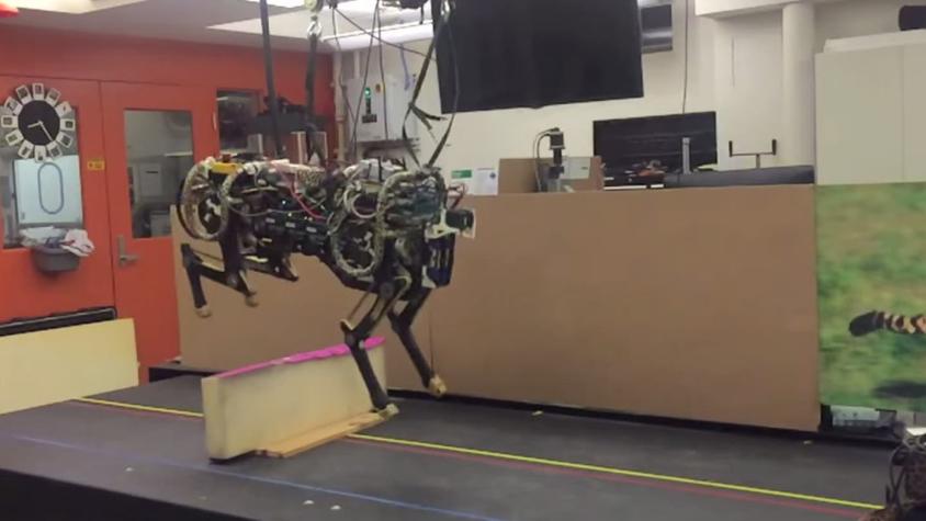 [VIDEO] Investigadores "entrenan" a guepardo robot para que salte obstáculos de manera autónoma