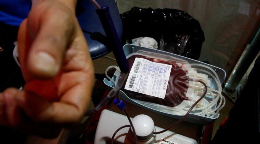 Día Mundial del Donante de sangre: 10 mitos y verdades sobre la donación
