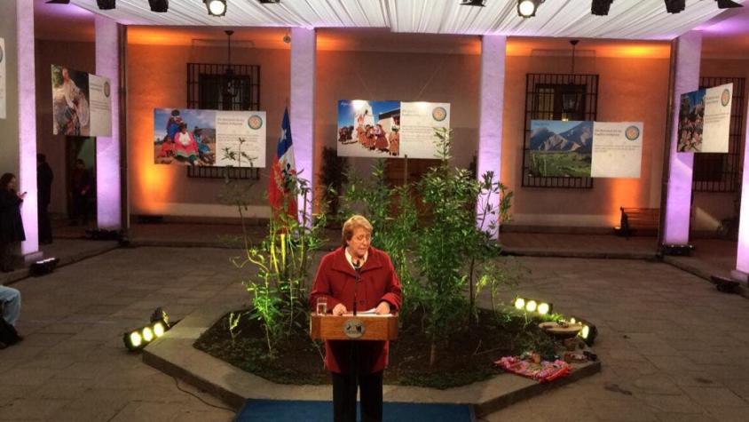 Bachelet asegura que proyecto de Ministerio de Pueblos Indígenas se enviará antes de fin de año