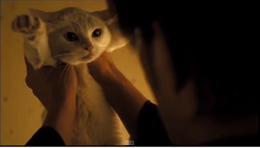 [VIDEO] El tráiler de la curiosa historia de un samurai con un gato