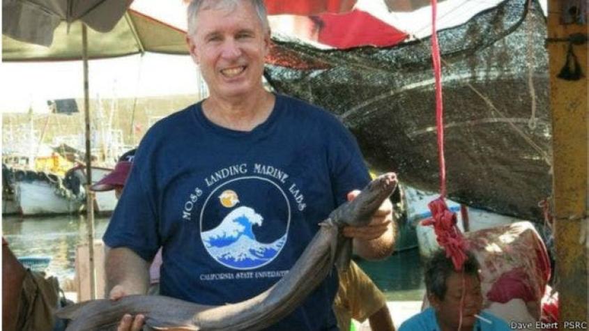 El hombre que descubre nuevas especies de tiburón en los mercados callejeros