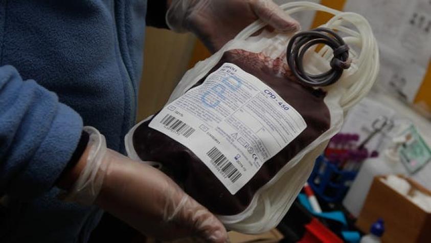 Chile necesita un 43% más de donantes de sangre para contar con un mínimo "ideal"