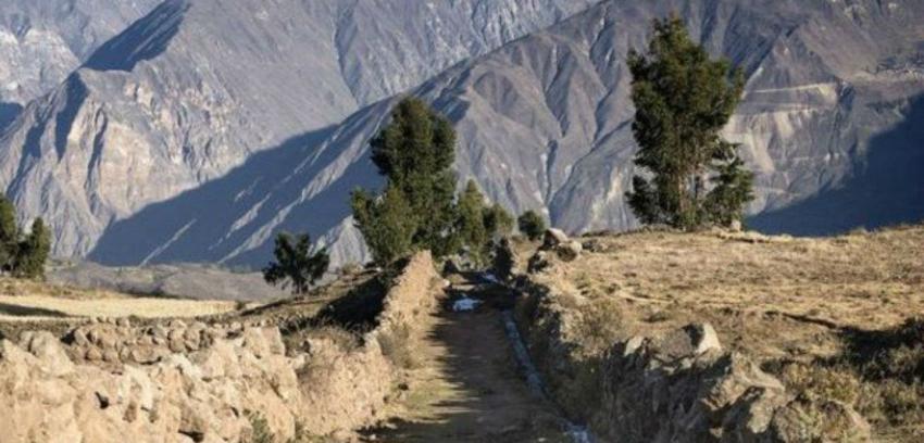 El Camino del Inca: la autopista milenaria que creó un imperio