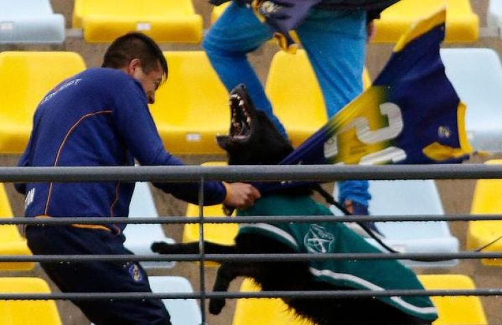 Everton se querelló contra responsables de incidentes en Sausalito
