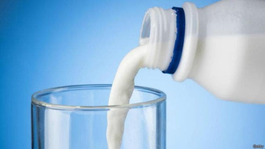 ¿Cómo se volvió la leche un producto favorito de nuestra dieta?
