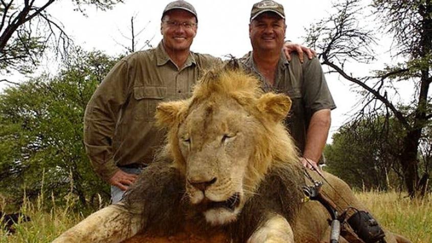 Cazador de Cecil, el emblema de Zimbabue: "No tenía ni idea de que era un león conocido"