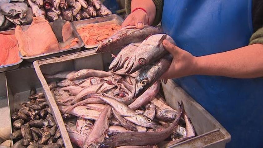 Sernapesca incauta nueve toneladas de pesca ilegal en Terminal Pesquero Metropolitano