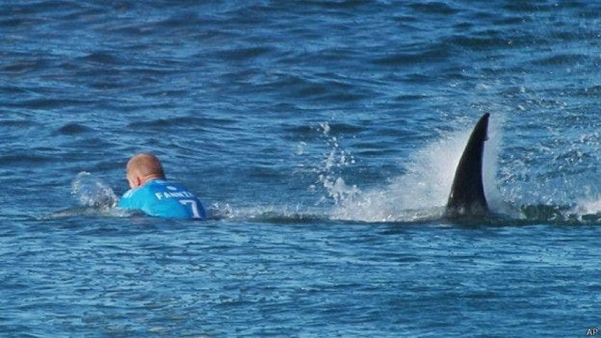 Mick Fanning vuelve a surfear un mes después de ser atacado por un tiburón en plena competencia