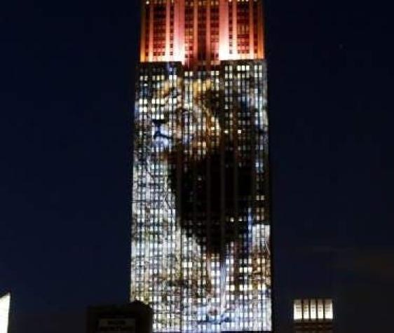 Realizan homenaje a león "Cecil" en el edificio Empire State