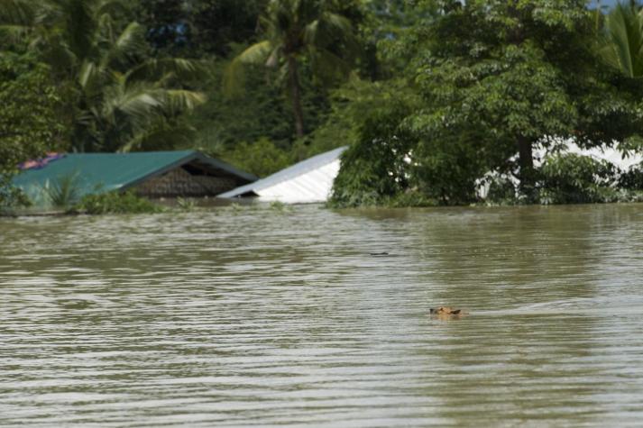 Al menos 46 muertos en inundaciones en Birmania