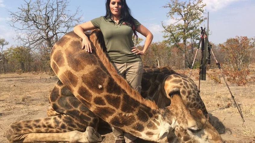Cazadora se defiende tras matar a jirafa: "Son animales muy peligrosos"