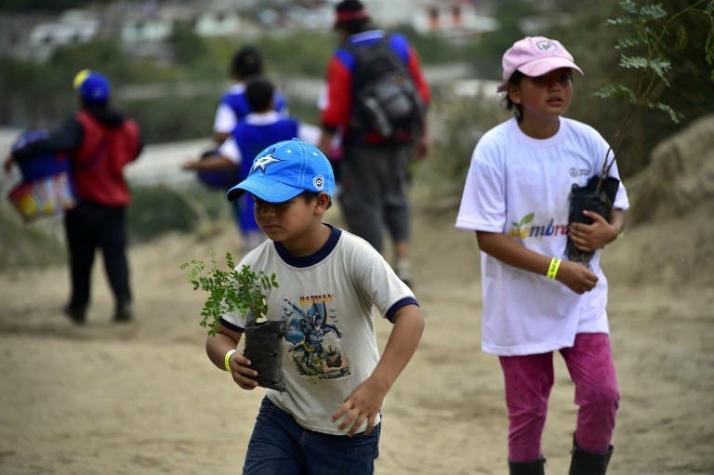 Ecuador logra por primera vez reforestar el triple de lo que deforesta